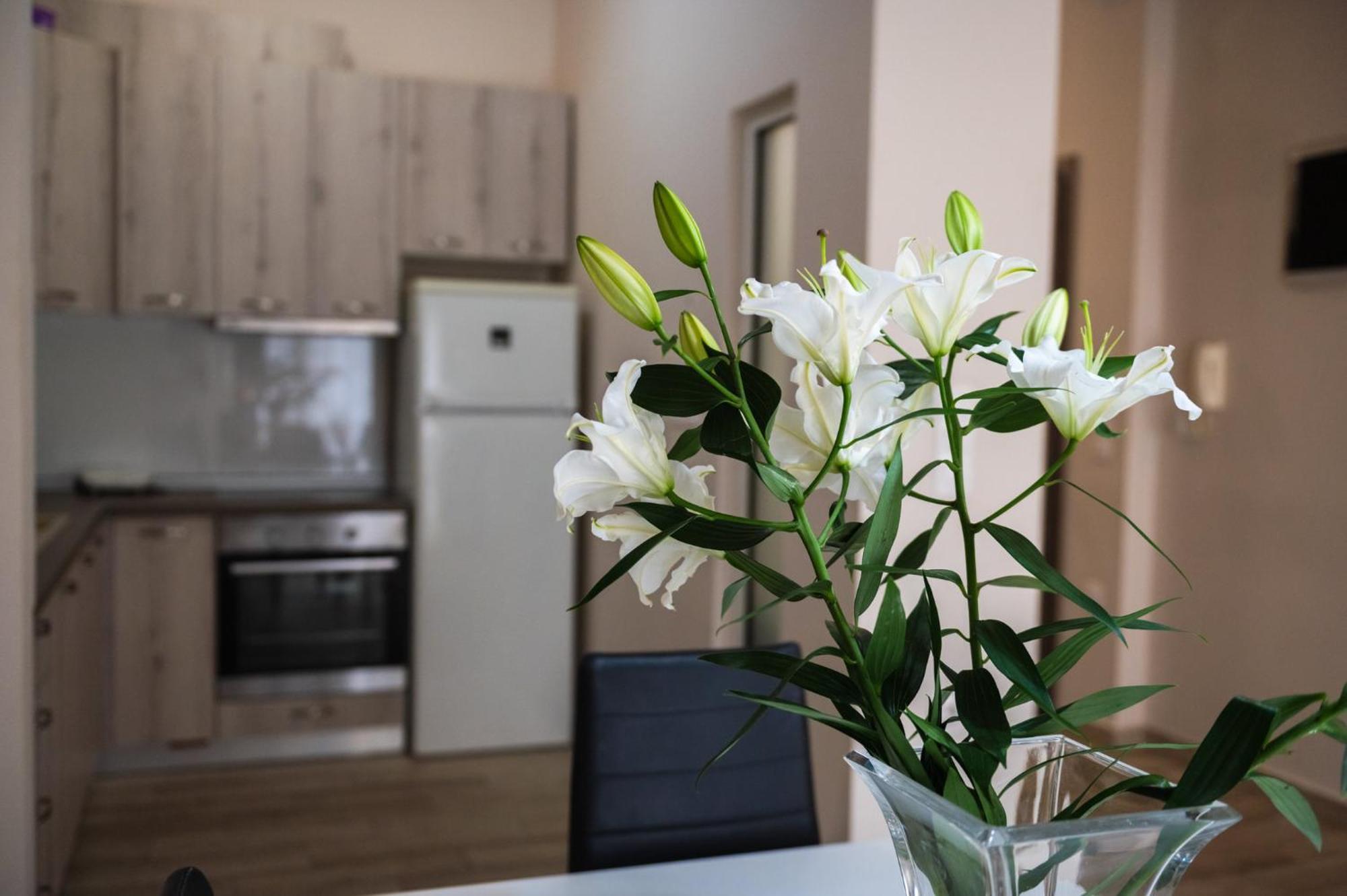 Central Luxurious Suite Near Lighthouse Alexandroupoli Esterno foto